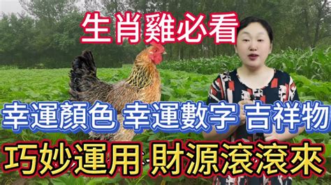 雞幸運色|屬雞必看：幸運色改變你命運